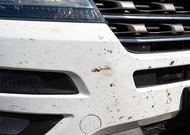 Šta sa zalepljenim i „zapečenim“ insektima na braniku, farovima, šoferci...?